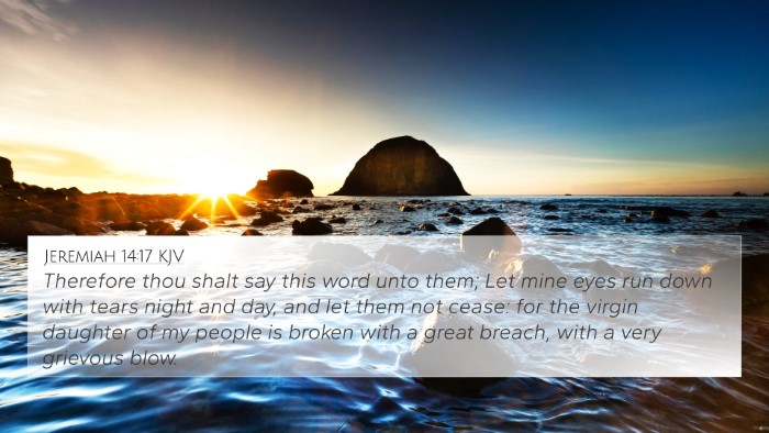 Jeremiah 14:17 KJV Bible Verse Image