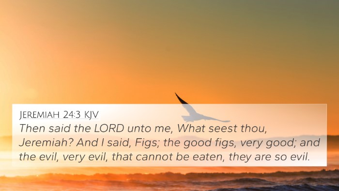 Jeremiah 24:3 Explained