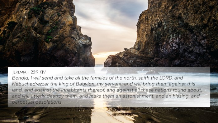 Jeremiah 25:9 KJV Bible Verse Image