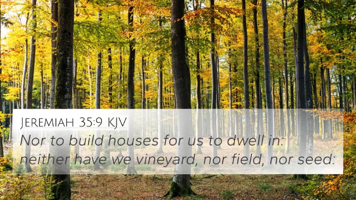 Jeremiah 35:9 Explained