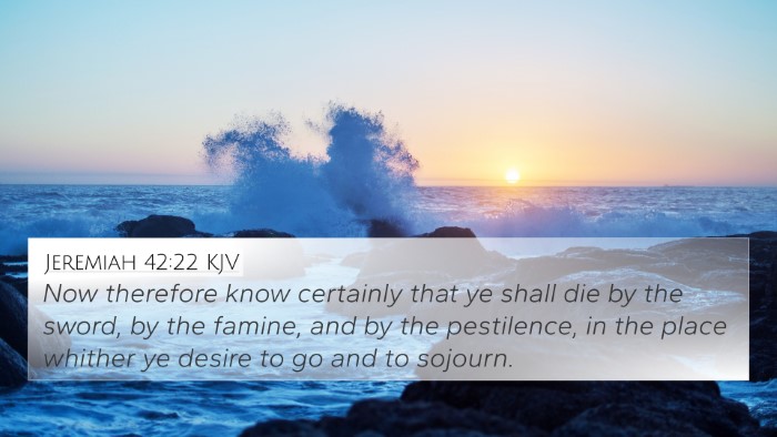 Jeremiah 42:22 Explained