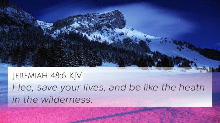 Jeremiah 48:6 Explained