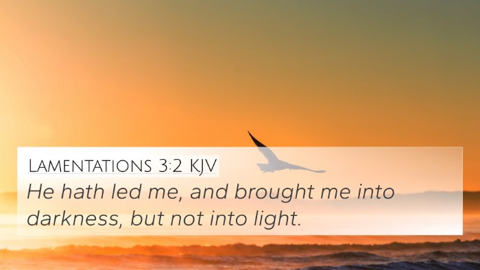 Lamentations 3:2 Explained