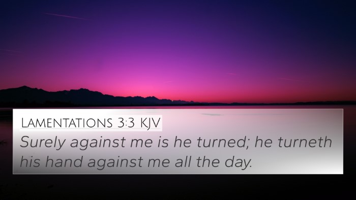 Lamentations 3:3 Explained