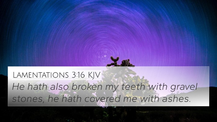Lamentations 3:16 Explained