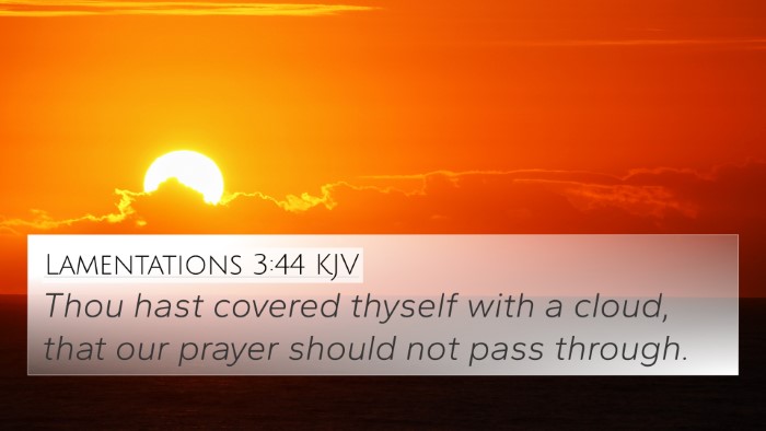 Lamentations 3:44 KJV Bible Verse Image
