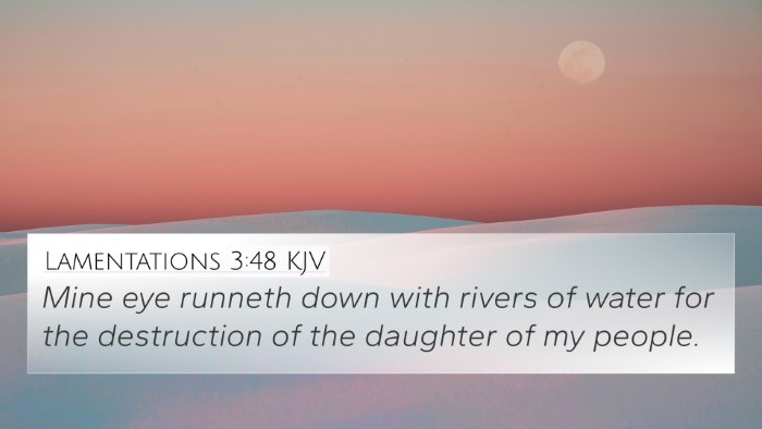 Lamentations 3:48 KJV Bible Verse Image