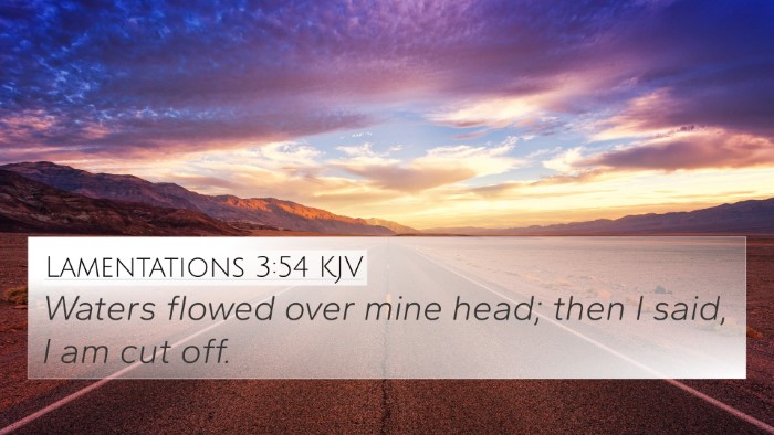 Lamentations 3:54 Explained