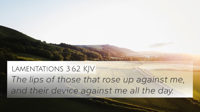 Lamentations 3:62 Explained