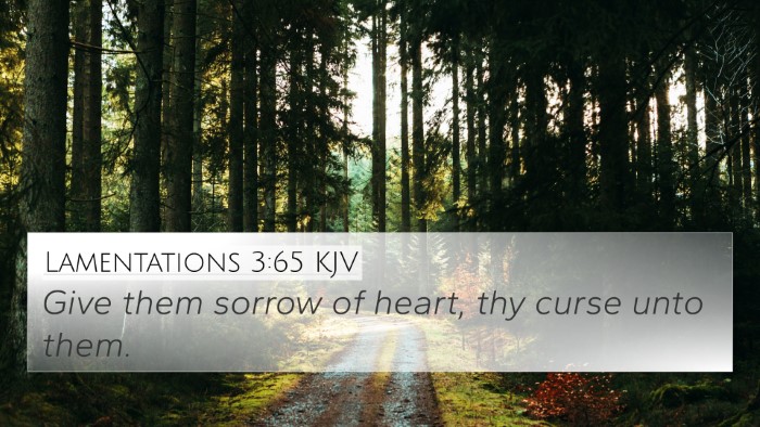 Lamentations 3:65 Explained