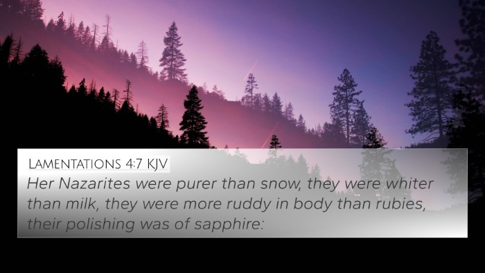 Lamentations 4:7 KJV Bible Verse Image