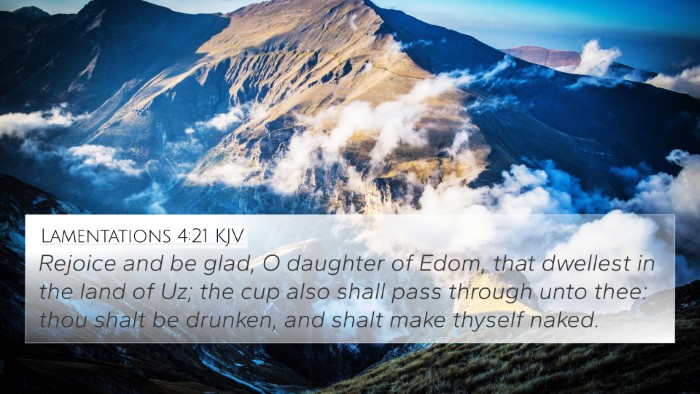 Lamentations 4:21 KJV Bible Verse Image