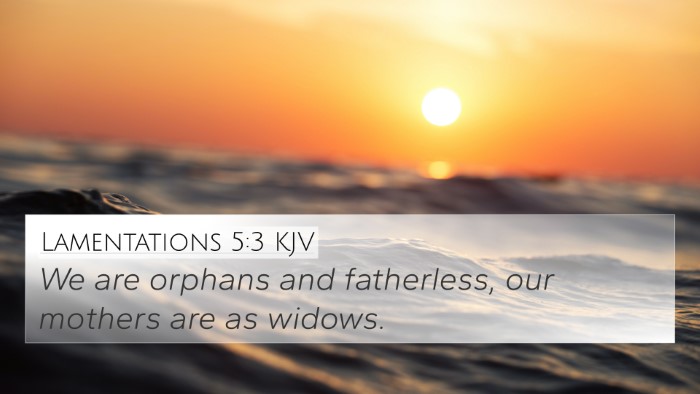 Lamentations 5:3 Explained