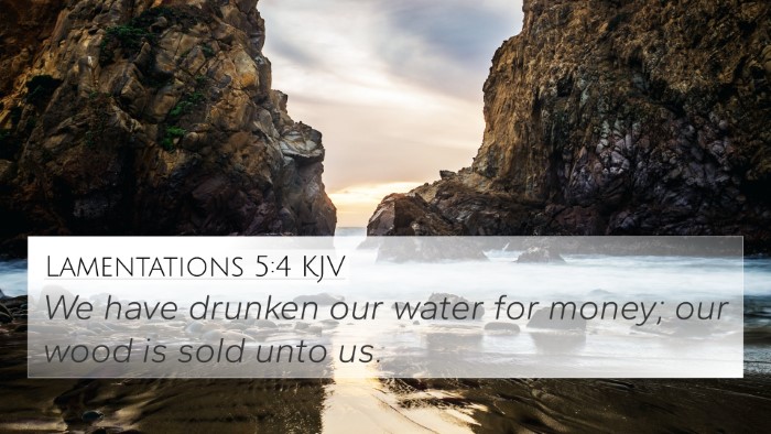 Lamentations 5:4 Explained
