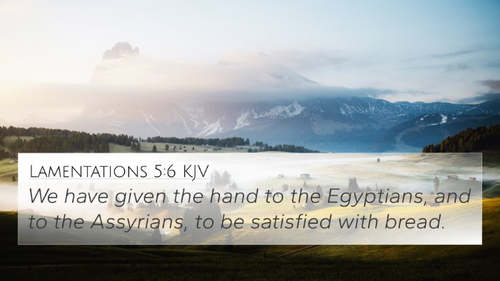 Lamentations 5:6 KJV Bible Verse Image
