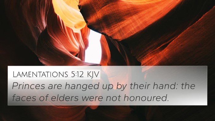 Lamentations 5:12 KJV Bible Verse Image