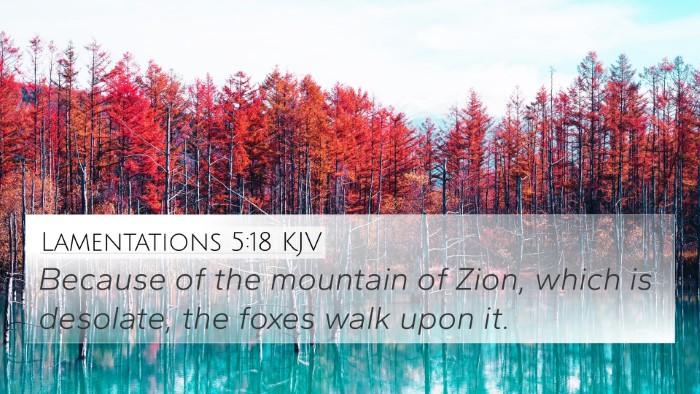 Lamentations 5:18 Explained