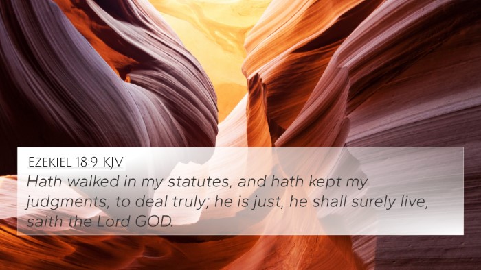 Ezekiel 18:9 KJV Bible Verse Image