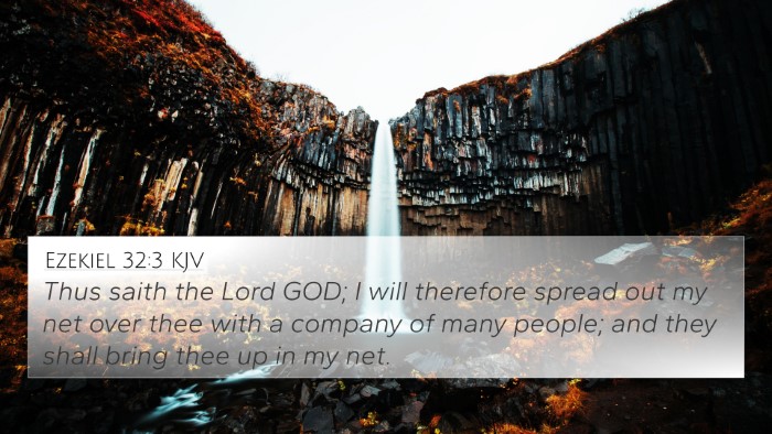 Ezekiel 32:3 KJV Bible Verse Image