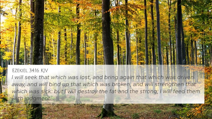 Ezekiel 34:16 KJV Bible Verse Image