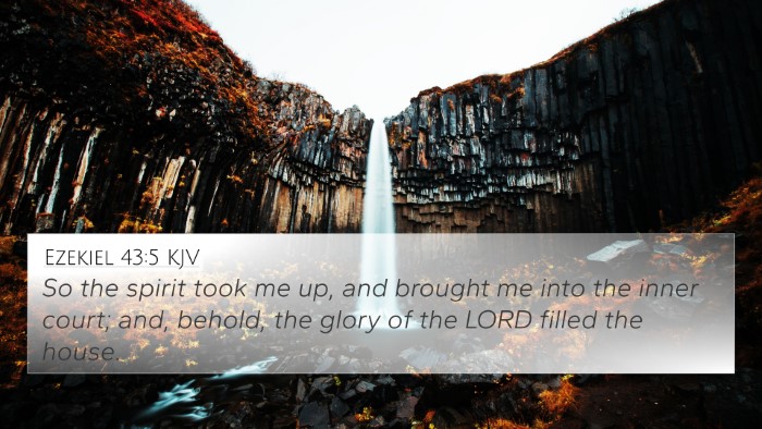 Ezekiel 43:5 KJV Bible Verse Image