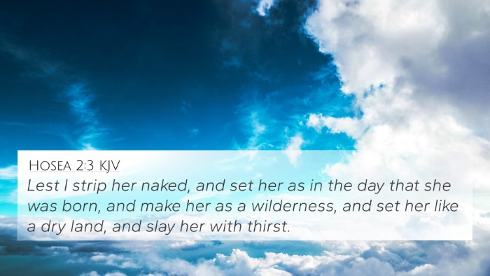 Hosea 2:3 KJV Bible Verse Image