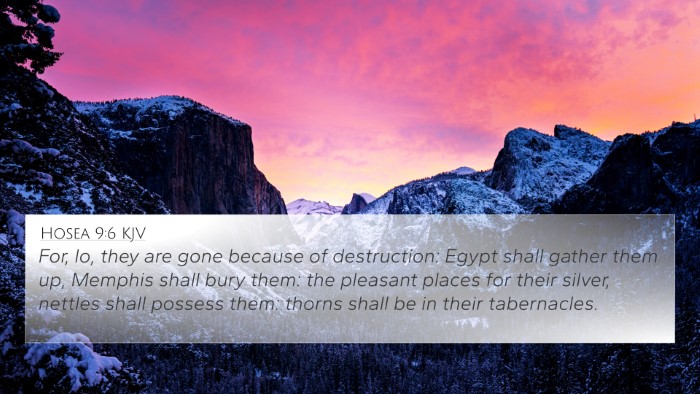 Hosea 9:6 KJV Bible Verse Image