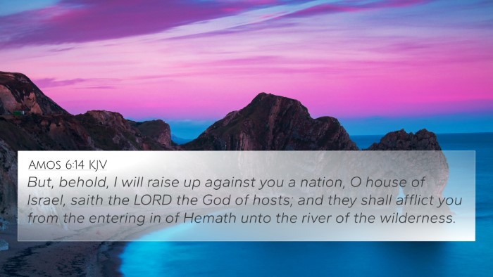 Amos 6:14 KJV Bible Verse Image