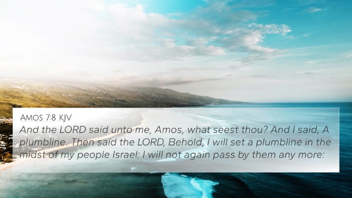 Amos 7:8 KJV Bible Verse Image