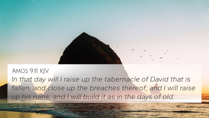 Amos 9:11 KJV Bible Verse Image