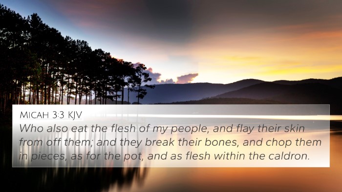 Micah 3:3 Explained