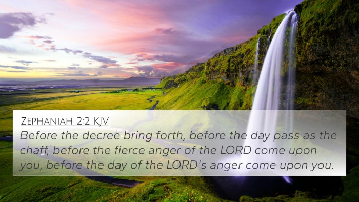 Zephaniah 2:2 Explained