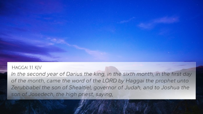 Haggai 1:1 KJV Bible Verse Image