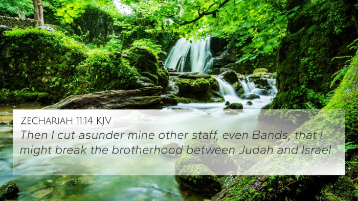 Zechariah 11:14 Explained