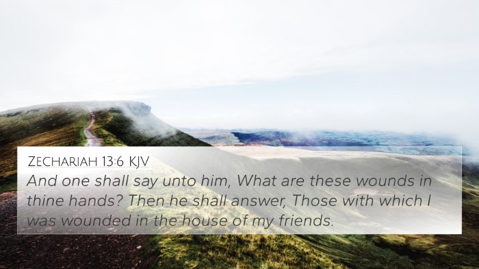 Zechariah 13:6 Explained