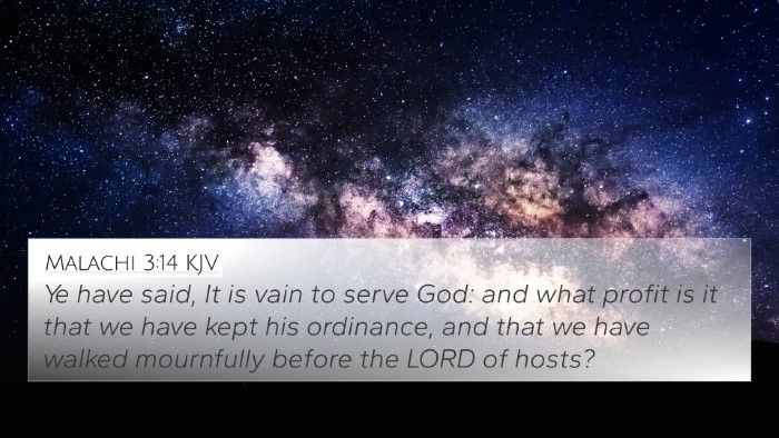 Malachi 3:14 KJV Bible Verse Image