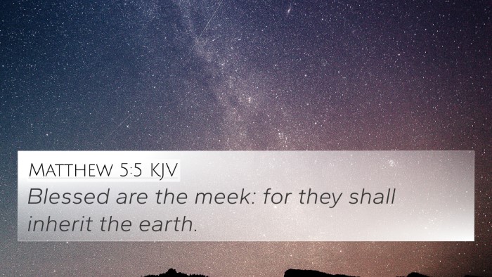 Matthew 5:5 Explained