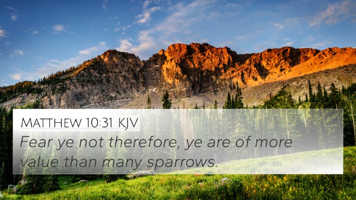 Matthew 10:31 Explained