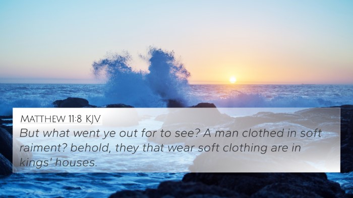 Matthew 11:8 KJV Bible Verse Image