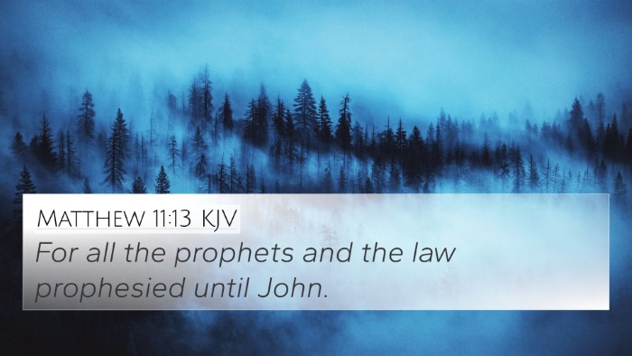 Matthew 11:13 Explained