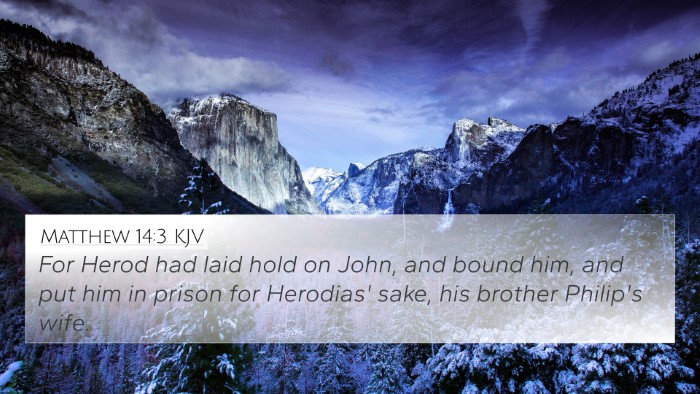 Matthew 14:3 KJV Bible Verse Image