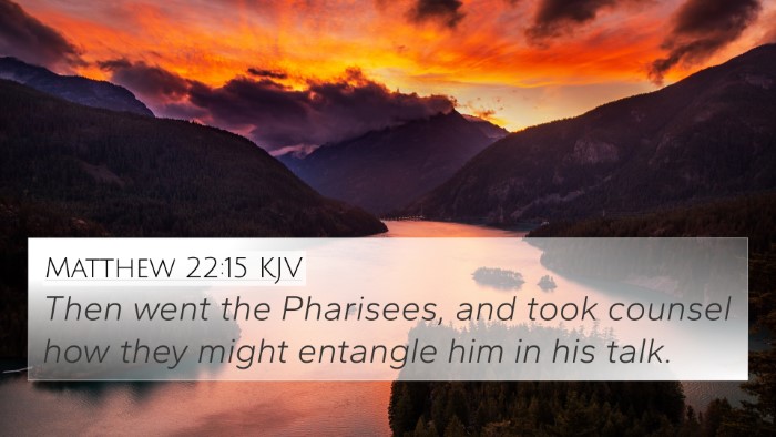 Matthew 22:15 KJV Bible Verse Image