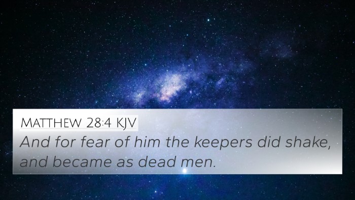 Matthew 28:4 KJV Bible Verse Image