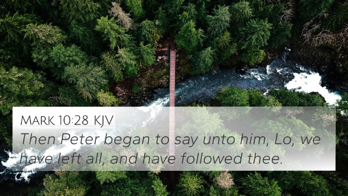 Mark 10:28 KJV Bible Verse Image
