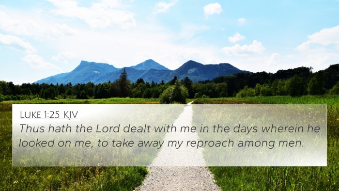 Luke 1:25 KJV Bible Verse Image