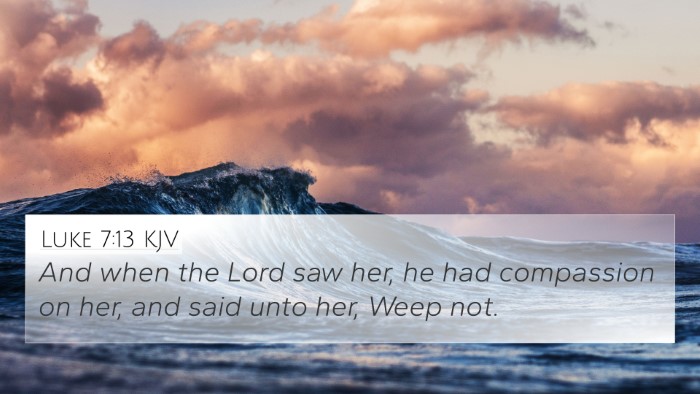 Luke 7:13 KJV Bible Verse Image