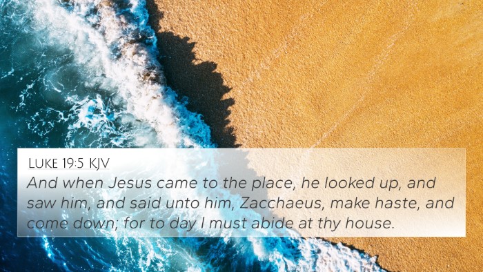 Luke 19:5 KJV Bible Verse Image