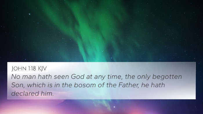 John 1:18 KJV Bible Verse Image