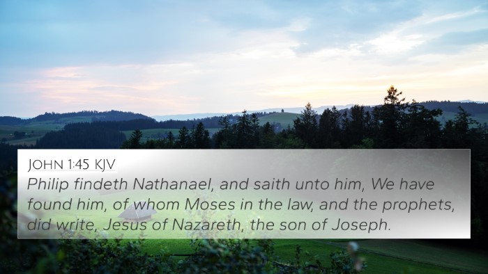 John 1:45 KJV Bible Verse Image
