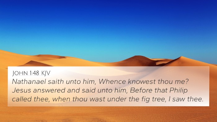 John 1:48 KJV Bible Verse Image